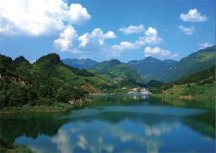 重慶商標(biāo)注冊(cè)流程及材料？重慶商標(biāo)注冊(cè)所需費(fèi)用？