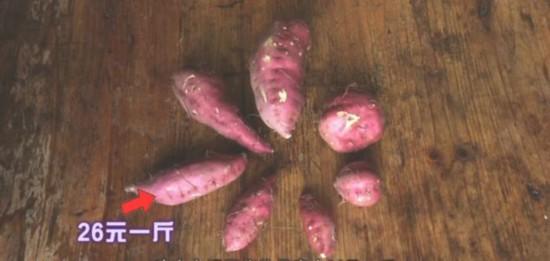 地瓜做出商標(biāo)，第一年賺20萬！訣竅有這幾點(diǎn)