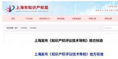 10月1日施行！上海發布《知識產權評議技術導則》地方標準