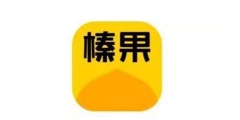 美團“榛果民宿”品牌更名，商標申請屢遭駁回！