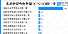 實用新型專利TOP20：古井貢酒一騎絕塵，有效實用新型專利722件