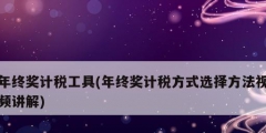 年終獎計(jì)稅工具(年終獎計(jì)稅方式選擇方法視頻講解)