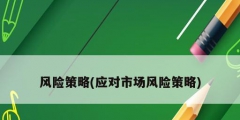 風險策略(應(yīng)對市場風險策略)