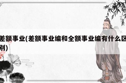 差額事業(差額事業編和全額事業編有什么區別)