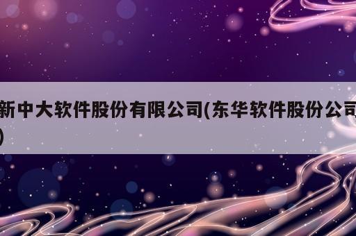 新中大軟件股份有限公司(東華軟件股份公司)