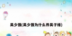 吳少強(吳少強為什么養吳子維)